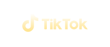 TikTok partner logo